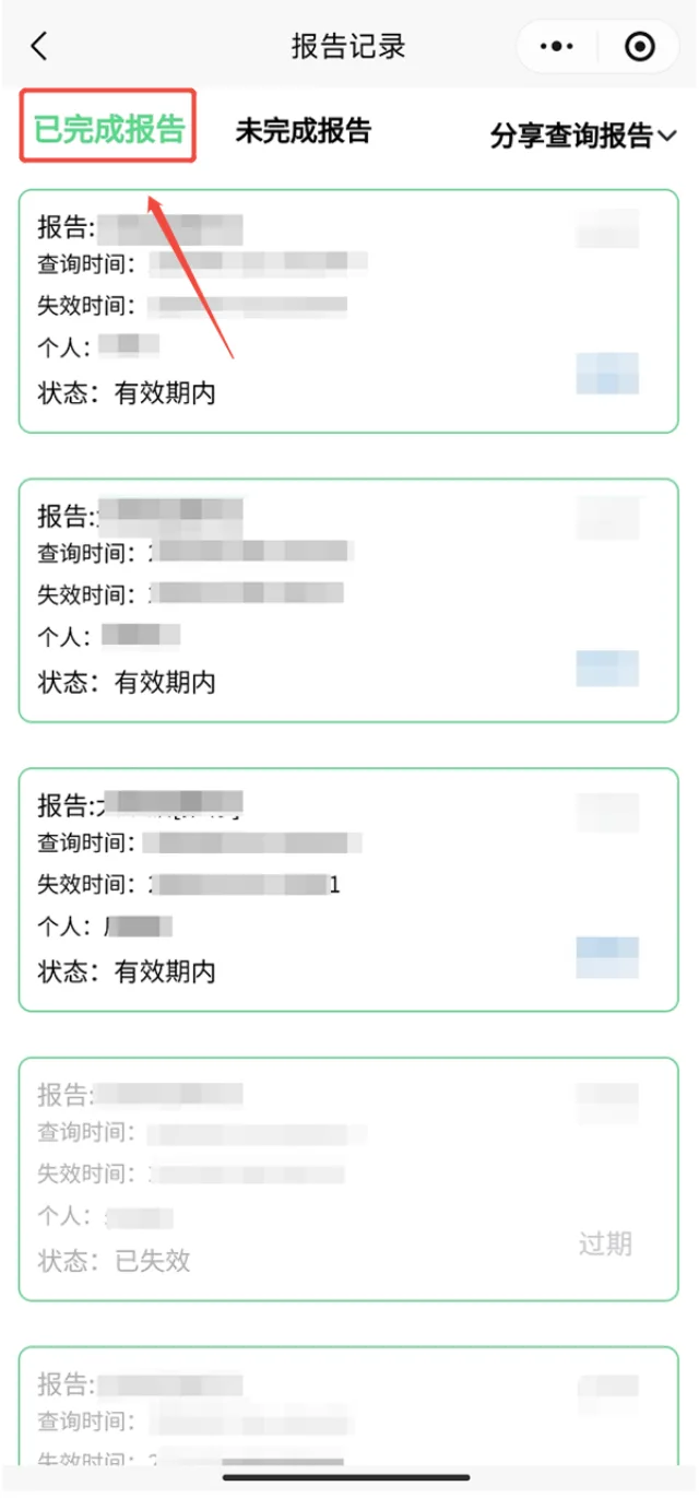 极客查小程序已完成报告列表代表客户已完成付款查询