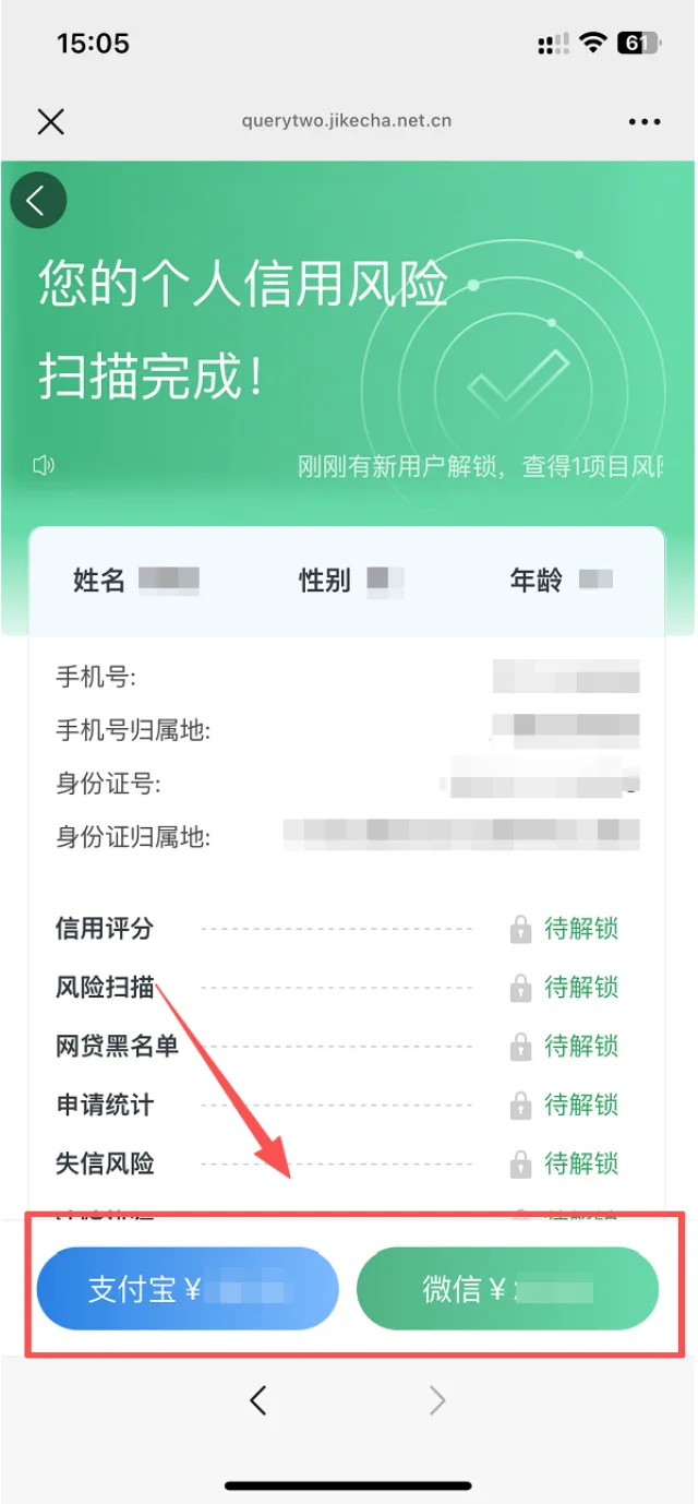 个人信用风险扫描完成后选择支付宝或微信支付解锁大数据报告