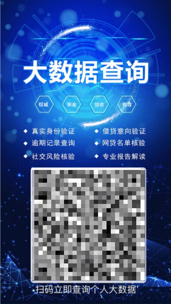 极客查大数据查询入口海报