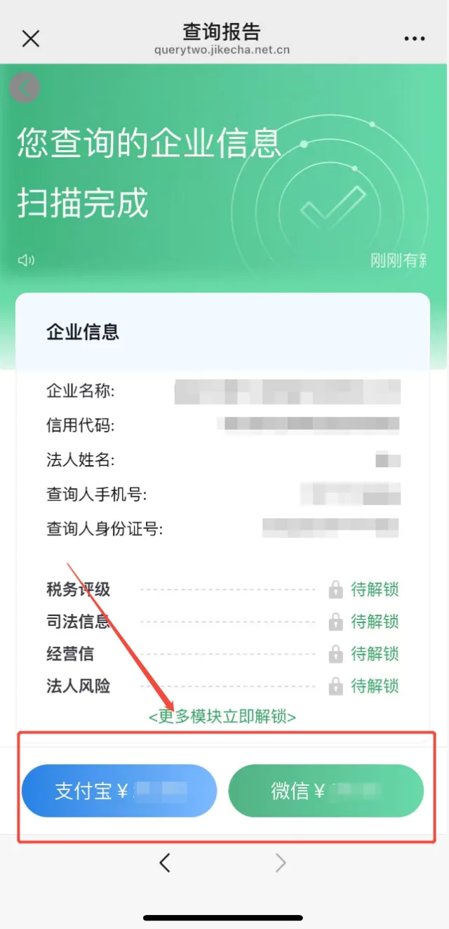 确认企业查询信息后选择支付宝或微信支付方式付款