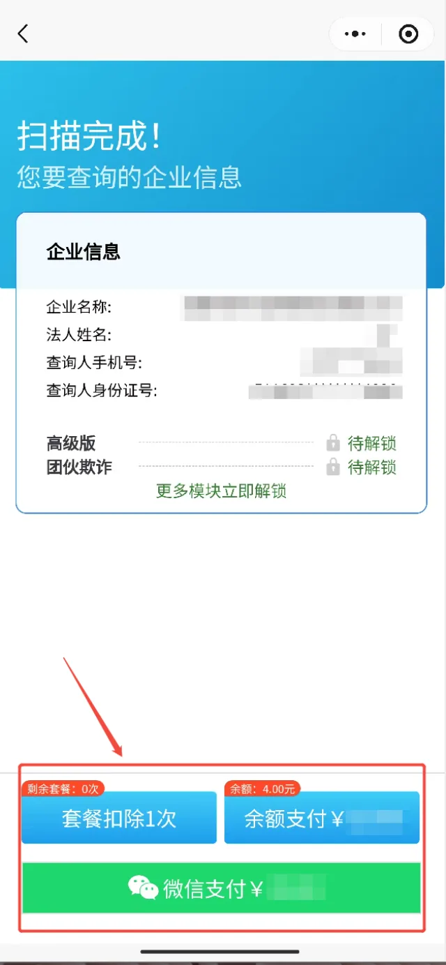 极客查小程序确认企业查询信息后选择支付方式付款