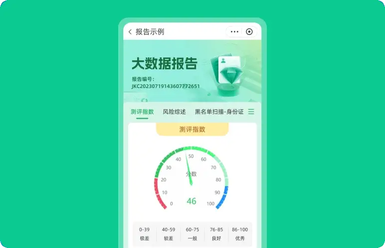 个人风险报告示例